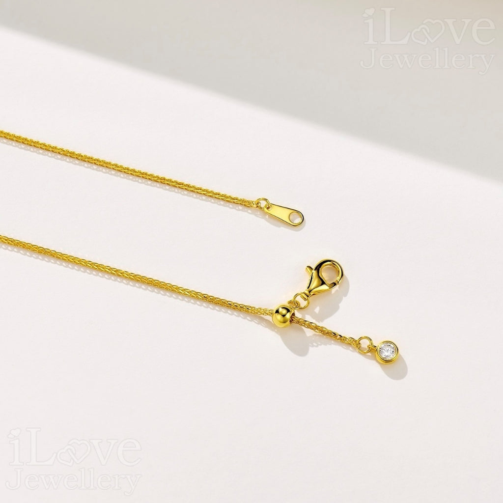 Lucky Pixiu Pendant S925 Silver Chain ILN301